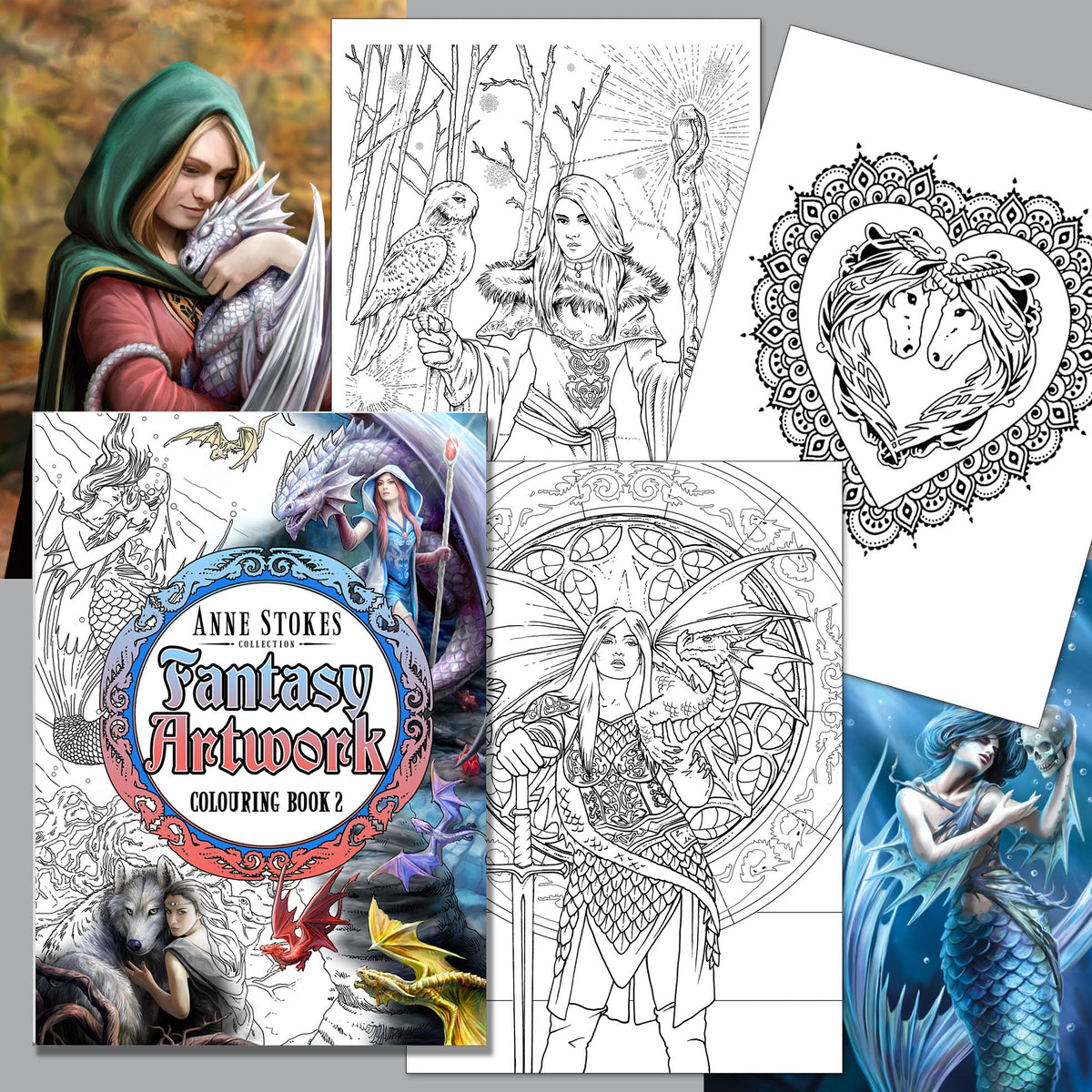 Anne Stokes Fantasy Art Coloring Book 2