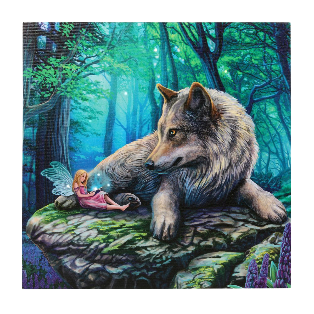 Fairy Stories Light Up Canvas Print by Lisa Parker